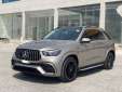 Mercedes GLE-450 2019 (Silver)
