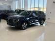 Ford Territory 2026 (Blue)(NEW)
